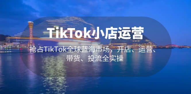 TikTok小店运营 抢占TikTok全球蓝海市场，开店、运营、带货、投流全实操-南风轻创