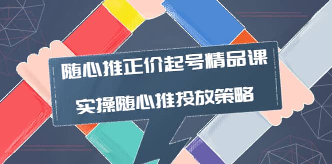 随心推正价起号精品课，实操随心推投放策略（5节课-价值298）-南风轻创
