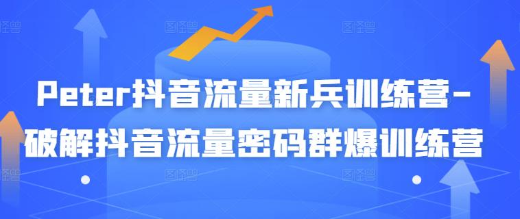 Peter抖音流量新兵训练营-破解抖音流量密码群爆训练营（新兵）-南风轻创