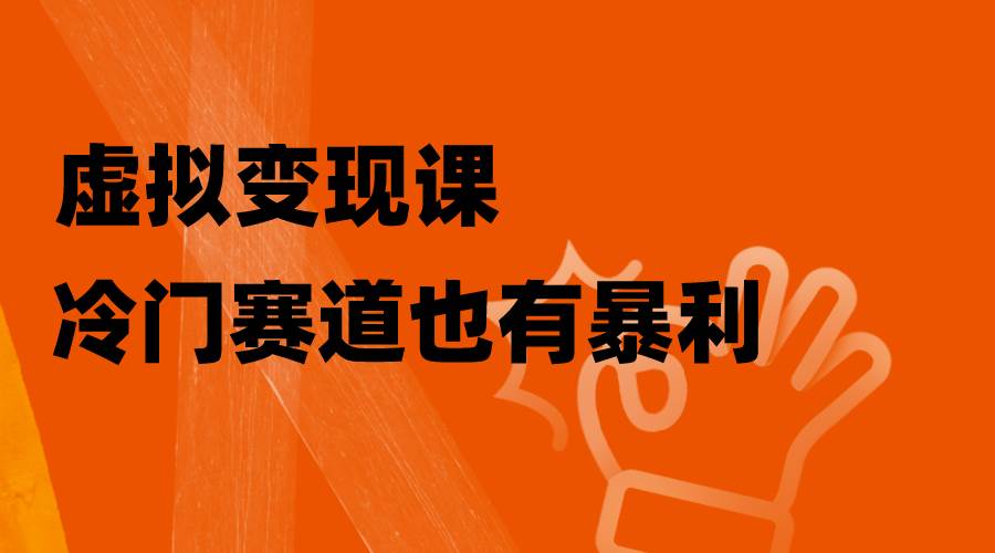 虚拟变现课，冷门赛道也有暴利，手把手教你玩转冷门私域-南风轻创