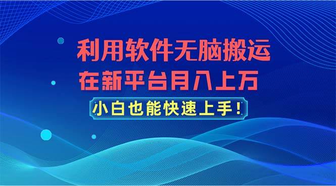 利用软件无脑搬运，在新平台月入上万，小白也能快速上手-南风轻创