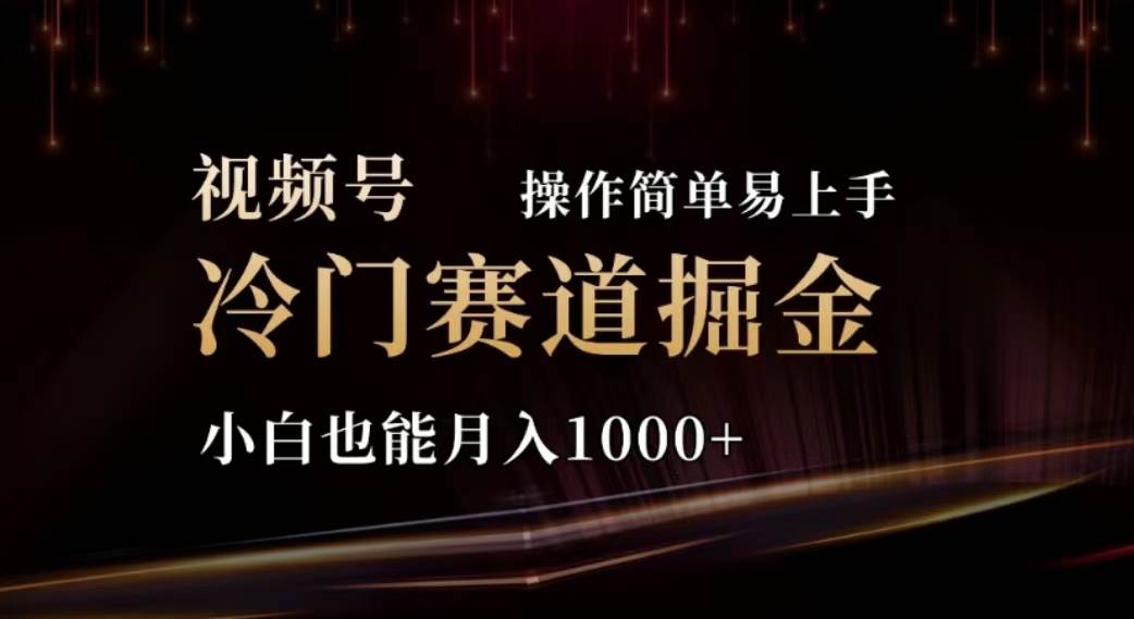 2024视频号冷门赛道掘金，操作简单轻松上手，小白也能月入1000+-南风轻创