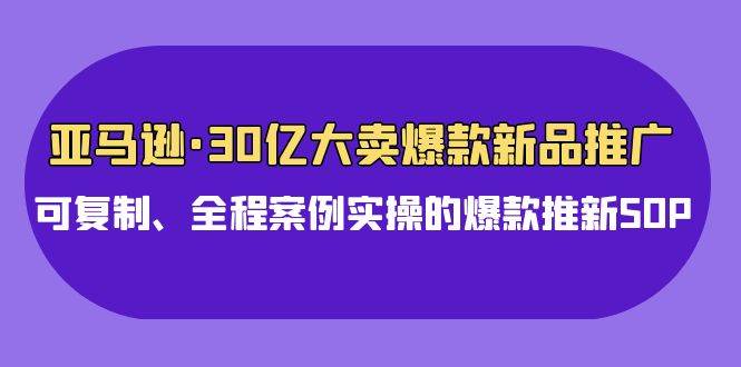 亚马逊30亿·大卖爆款新品推广，可复制、全程案例实操的爆款推新SOP-南风轻创