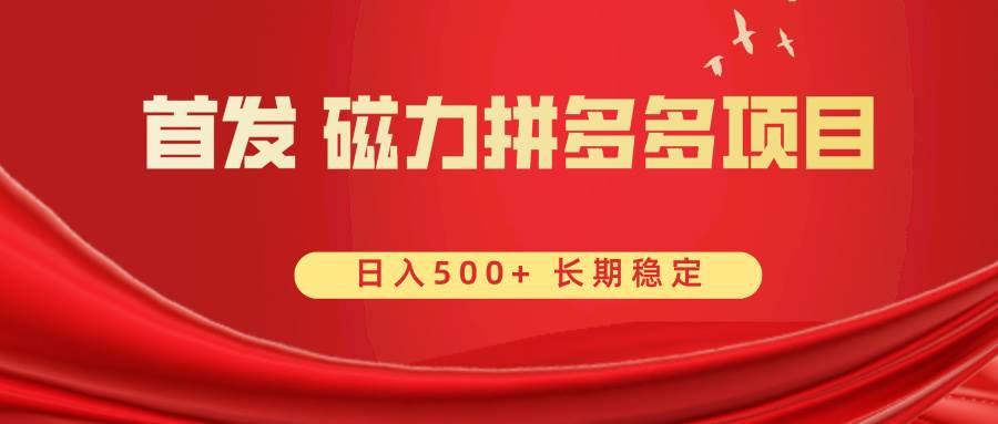 首发 磁力拼多多自撸  日入500+-南风轻创