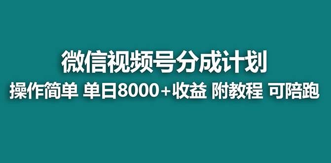 【蓝海项目】视频号分成计划，单天收益8000+，附玩法教程！可陪跑-南风轻创