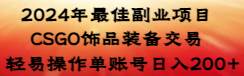 2024年最佳副业项目 CSGO饰品装备交易 轻易操作单账号日入200+-南风轻创