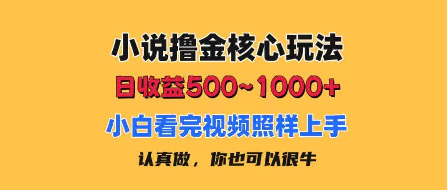 小说撸金核心玩法，日收益500-1000+，小白看完照样上手，0成本有手就行-南风轻创