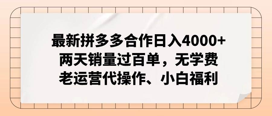 最新拼多多合作日入4000+两天销量过百单，无学费、老运营代操作、小白福利-南风轻创
