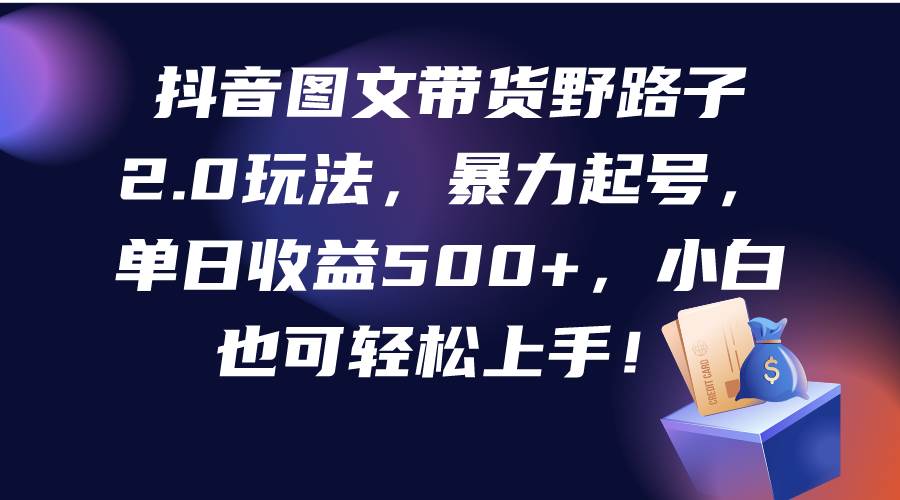 抖音图文带货野路子2.0玩法，暴力起号，单日收益500+，小白也可轻松上手！-南风轻创