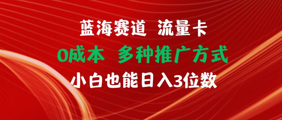 蓝海赛道 流量卡 0成本 小白也能日入三位数-南风轻创