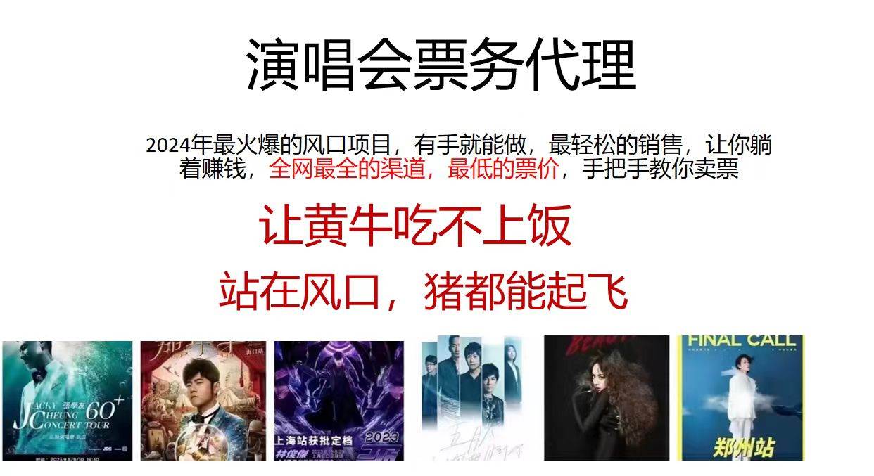 演唱会票务代理，2024年最火爆风口项目，全网最低的票价，小白一分钟上…-南风轻创