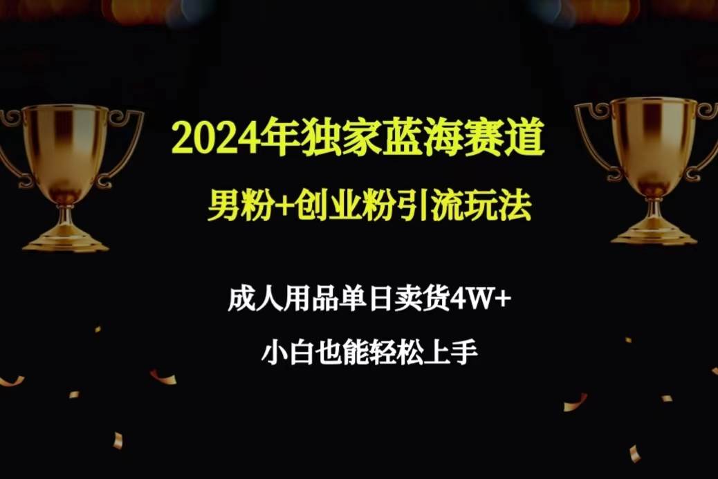 2024年独家蓝海赛道男粉+创业粉引流玩法，成人用品单日卖货4W+保姆教程-南风轻创