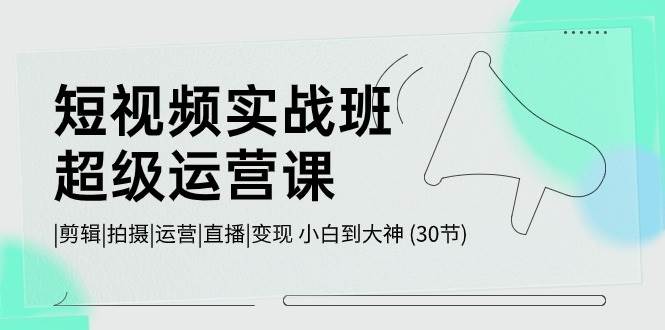 短视频实战班-超级运营课，|剪辑|拍摄|运营|直播|变现 小白到大神 (30节)-南风轻创