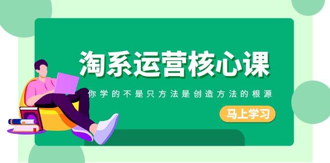 淘系-运营核心课，你学的不是只方法是创造方法的根源（190节课）-南风轻创