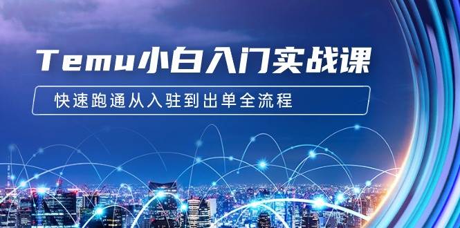Temu小白入门实战课：跨境拼多多电商培训 快速跑通从入驻到出单全流程-12节-南风轻创