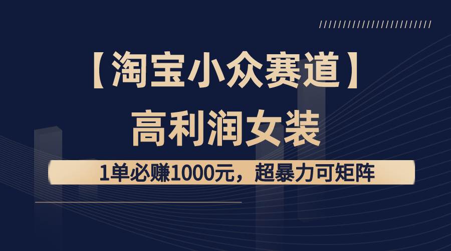 【淘宝小众赛道】高利润女装：1单必赚1000元，超暴力可矩阵-南风轻创