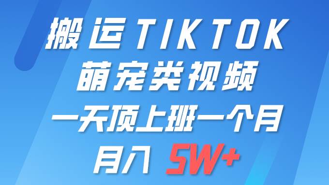 一键搬运TIKTOK萌宠类视频 一部手机即可操作 所有平台均可发布 轻松月入5W+-南风轻创