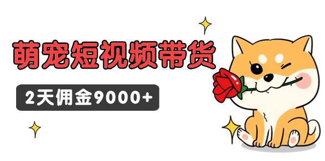 东哲日记·萌宠短视频带货，2天佣金9000+-南风轻创