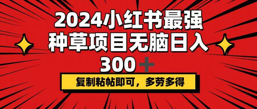 2024小红书最强种草项目，无脑日入300+，复制粘帖即可，多劳多得-南风轻创