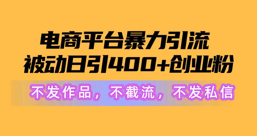 电商平台暴力引流,被动日引400+创业粉不发作品，不截流，不发私信-南风轻创