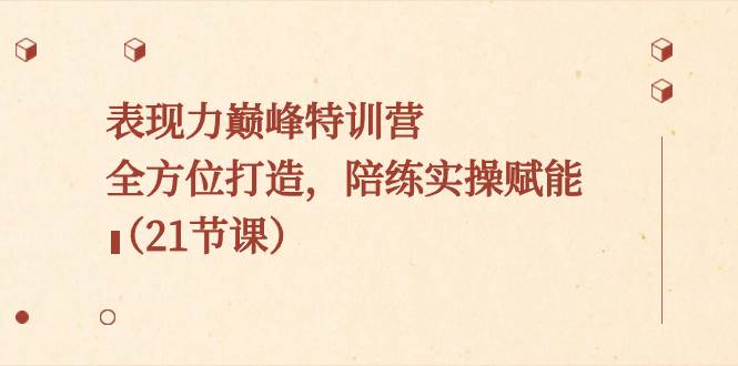 表现力巅峰特训营，全方位打造，陪练实操赋能（21节课）-南风轻创
