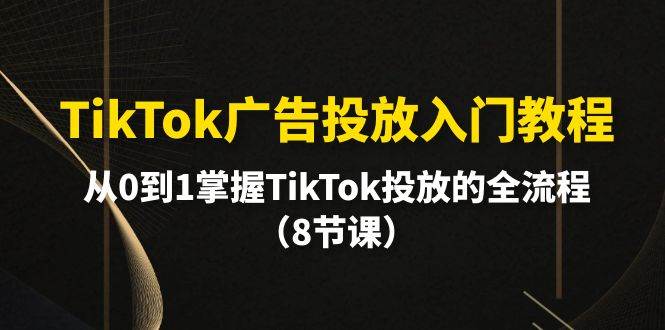 TikTok广告投放入门教程，从0到1掌握TikTok投放的全流程（8节课）-南风轻创