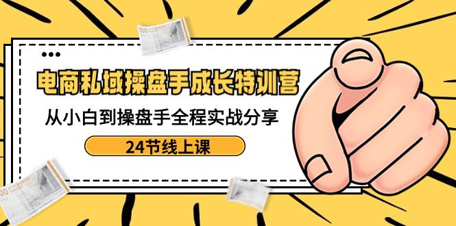 电商私域-操盘手成长特训营：从小白到操盘手全程实战分享-24节线上课-南风轻创