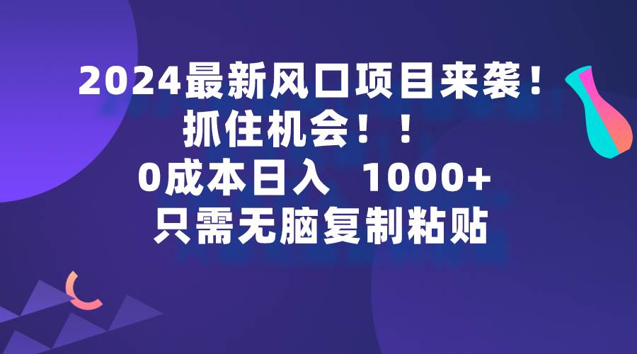 2024最新风口项目来袭，抓住机会，0成本一部手机日入1000+，只需无脑复…-南风轻创