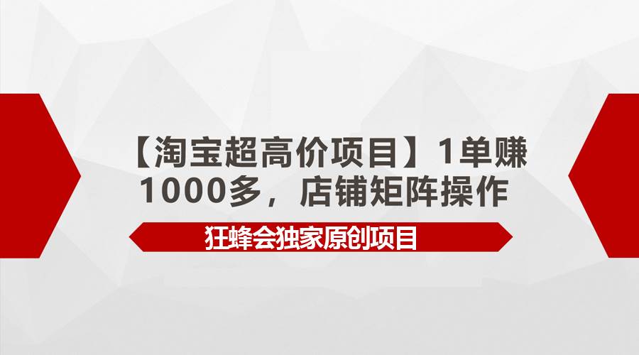 【淘宝超高价项目】1单赚1000多，店铺矩阵操作-南风轻创
