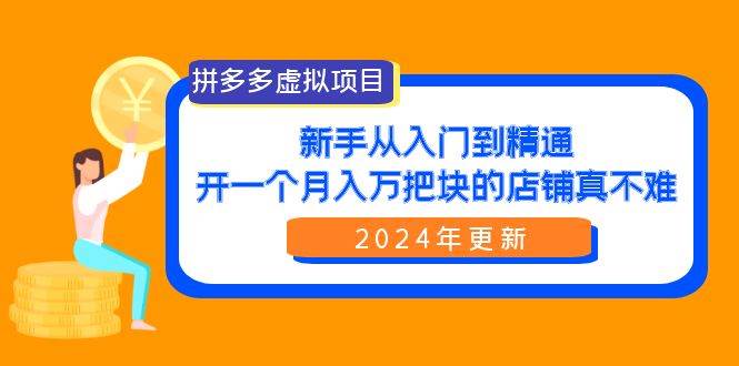 拼多多虚拟项目：入门到精通，开一个月入万把块的店铺 真不难（24年更新）-南风轻创