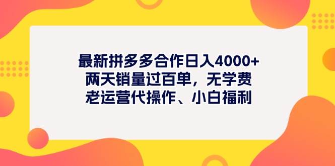 最新拼多多项目日入4000+两天销量过百单，无学费、老运营代操作、小白福利-南风轻创