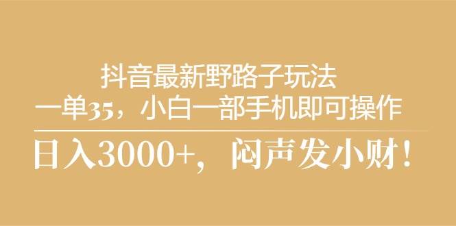 抖音最新野路子玩法，一单35，小白一部手机即可操作，，日入3000+，闷…-南风轻创