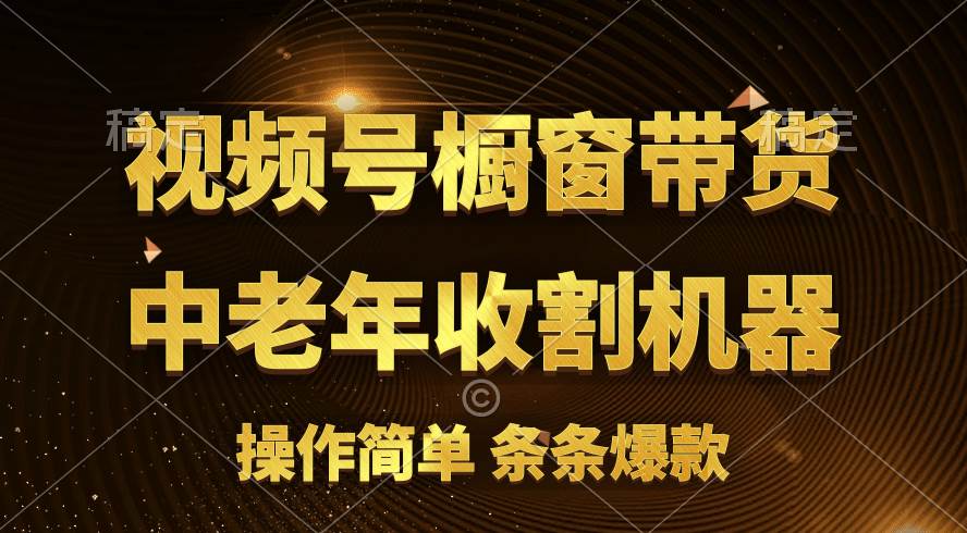[你的孩子成功取得高位]视频号最火爆赛道，橱窗带货，流量分成计划，条…-南风轻创