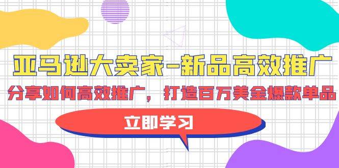 亚马逊 大卖家-新品高效推广，分享如何高效推广，打造百万美金爆款单品-南风轻创