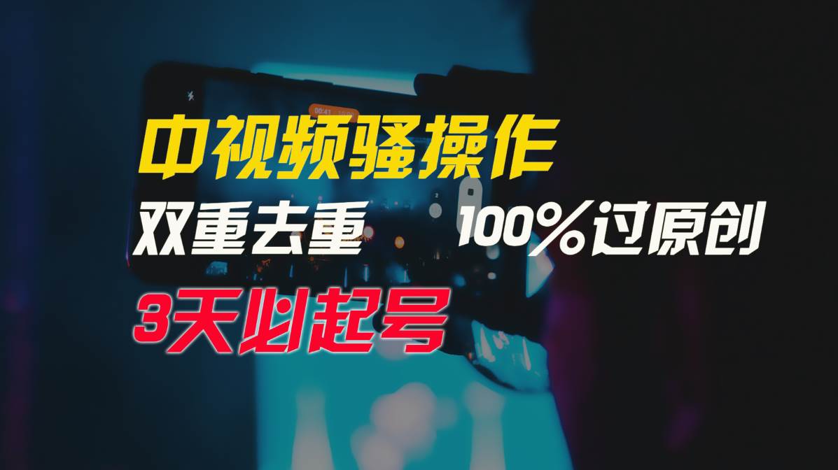 中视频骚操作，双重去重100%过原创，3天比必起号，简单无脑，月入3W+-南风轻创