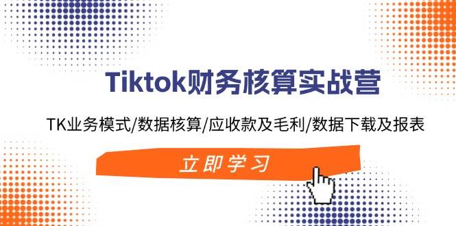 Tiktok财务核算实战营：TK业务模式/数据核算/应收款及毛利/数据下载及报表-南风轻创