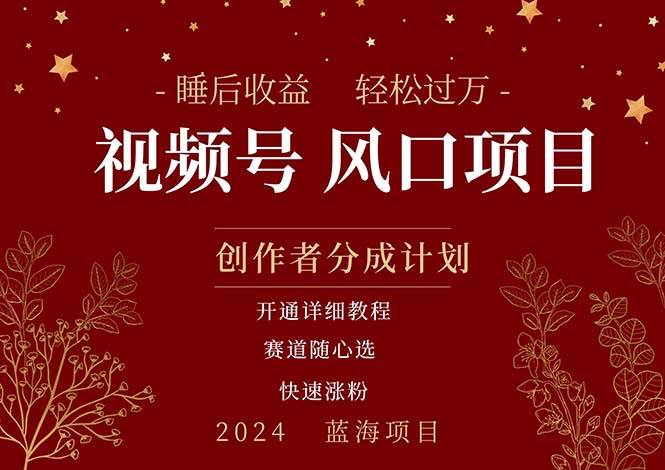 拥有睡眠收益的微信视频号大风口项目，轻松月入过万+，多赛道选择，可…-南风轻创