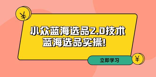 拼多多培训第33期：小众蓝海选品2.0技术-蓝海选品实操！-南风轻创