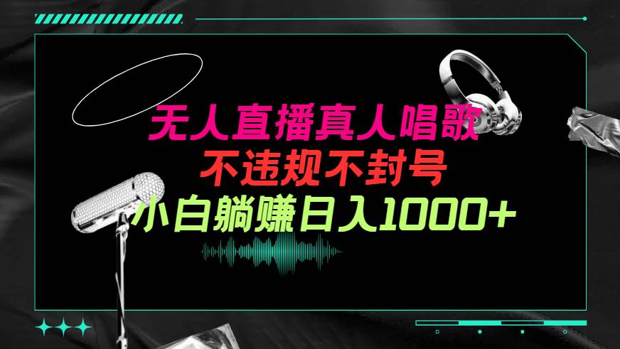 抖音24小时无人直播音乐，不违规，不封号纯撸音浪，小白实操当天日入1000+-南风轻创
