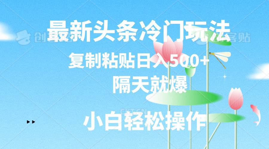 最新头条冷门玩法，隔天就爆，复制粘贴日入500+-南风轻创