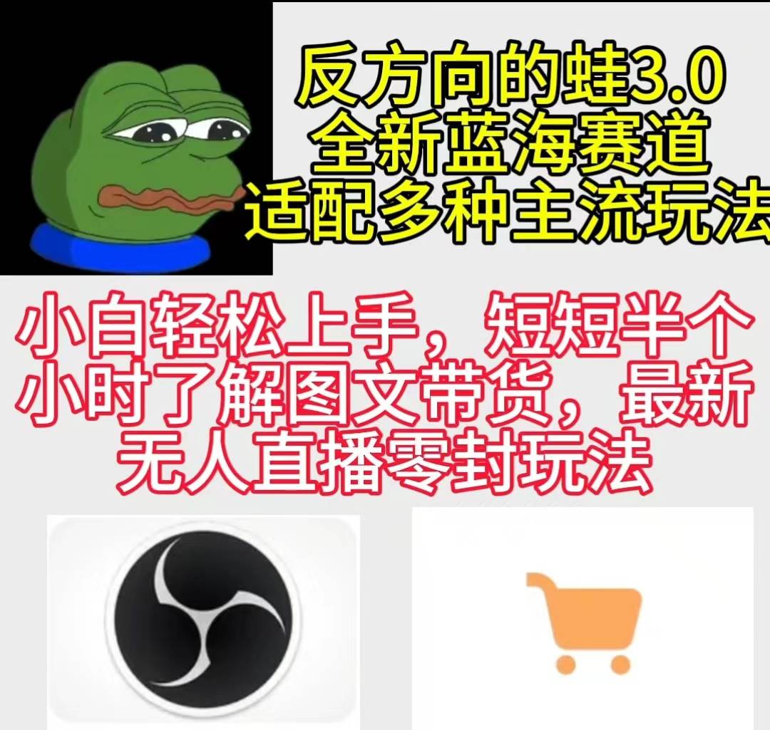 反方向的蛙3.0，图文最新玩法，变现多元化，新蓝海项目，小白轻松上手-南风轻创