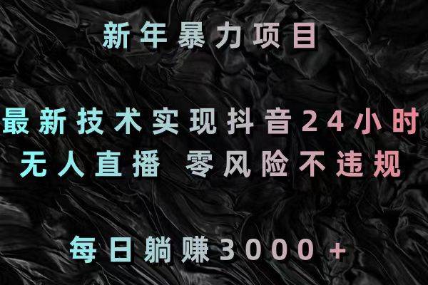 新年暴力项目，最新技术实现抖音24小时无人直播 零风险不违规 每日躺赚3000-南风轻创