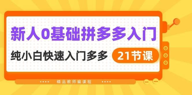 新人0基础拼多多入门，纯小白快速入门多多（21节课）-南风轻创