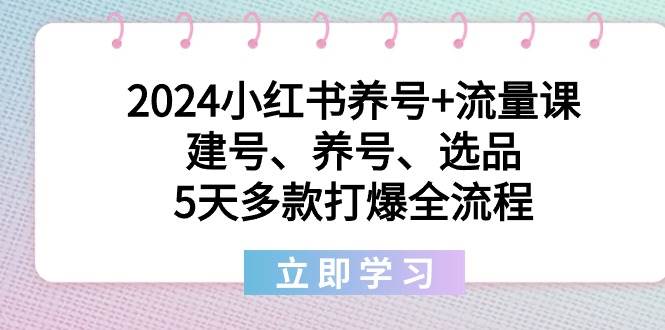 2024小红书养号+流量课：建号、养号、选品，5天多款打爆全流程-南风轻创