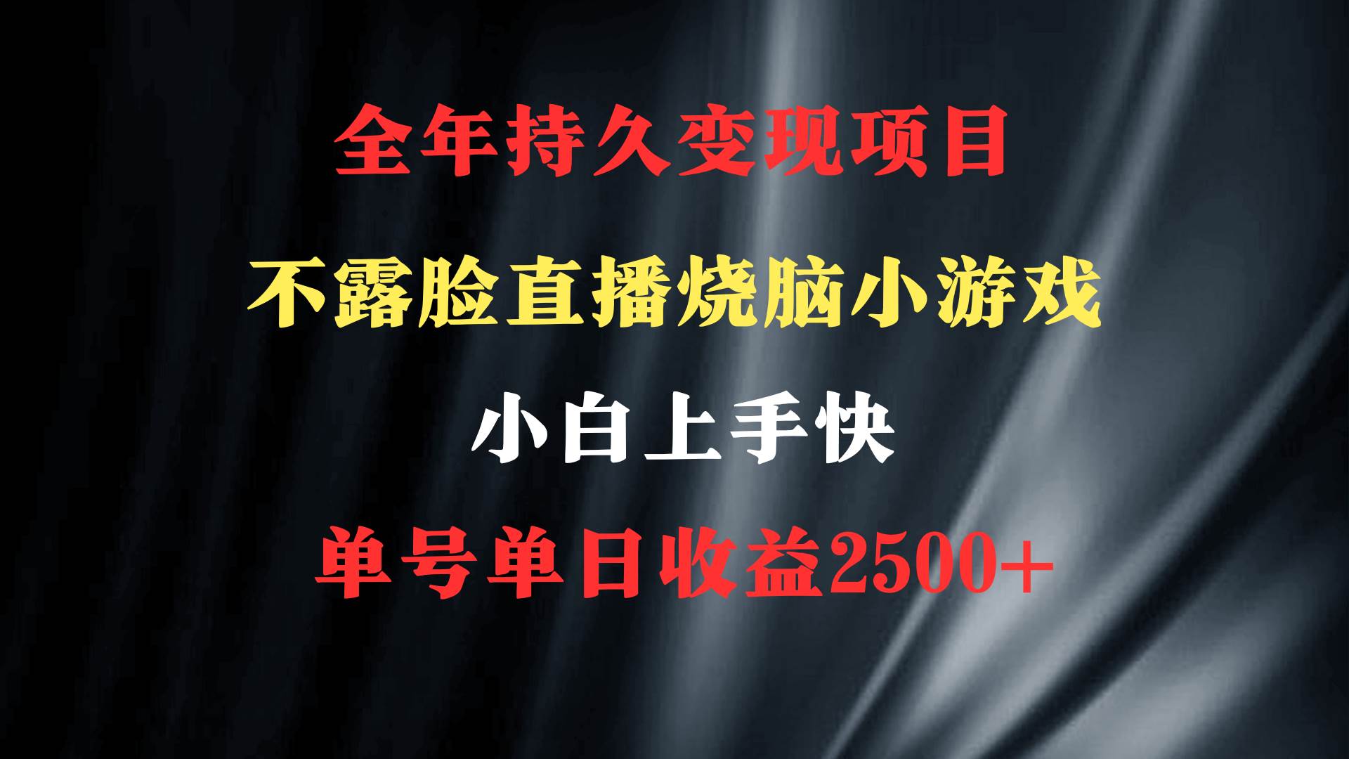 2024年 最优项目，烧脑小游戏不露脸直播  小白上手快 无门槛 一天收益2500+-南风轻创