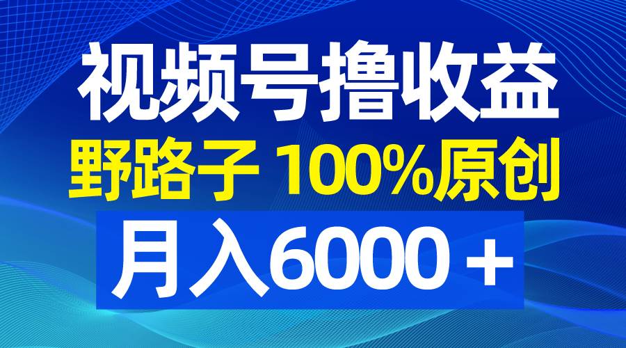 视频号野路子撸收益，100%原创，条条爆款，月入6000＋-南风轻创