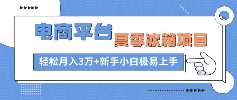 电商平台夏季冰箱项目，轻松月入3万+，新手小白极易上手-南风轻创
