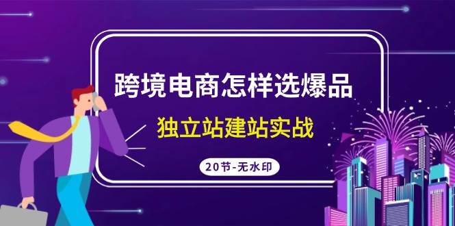 跨境电商怎样选爆品，独立站建站实战（20节高清无水印课）-南风轻创