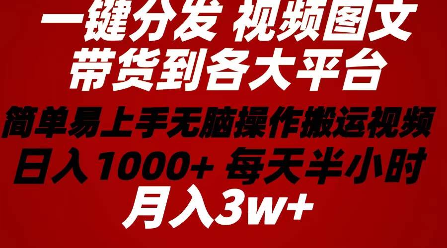 2024年 一键分发带货图文视频  简单易上手 无脑赚收益 每天半小时日入1…-南风轻创