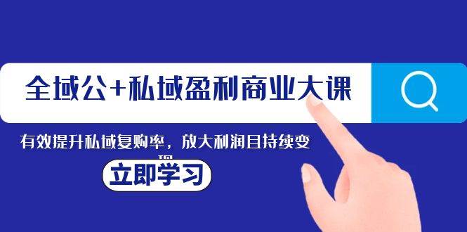 全域公+私域盈利商业大课，有效提升私域复购率，放大利润且持续变现-南风轻创